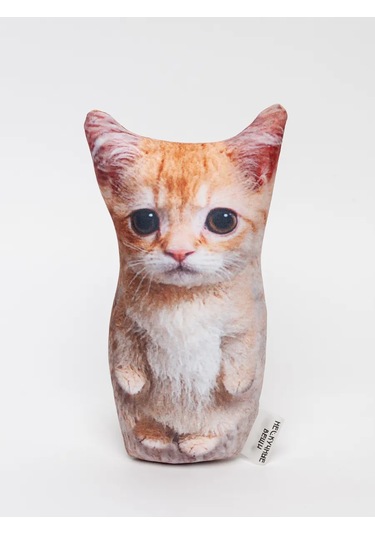 Neskucnye Vesi Kameleon Desenli Bardak + Stess Giderici Yastık Seti Ayfon 322119380