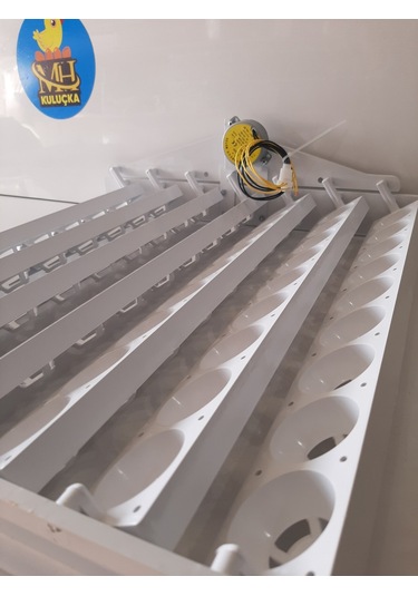 63'lük Otomatik Kuluçka Viyolü 46,5x42 X13,5