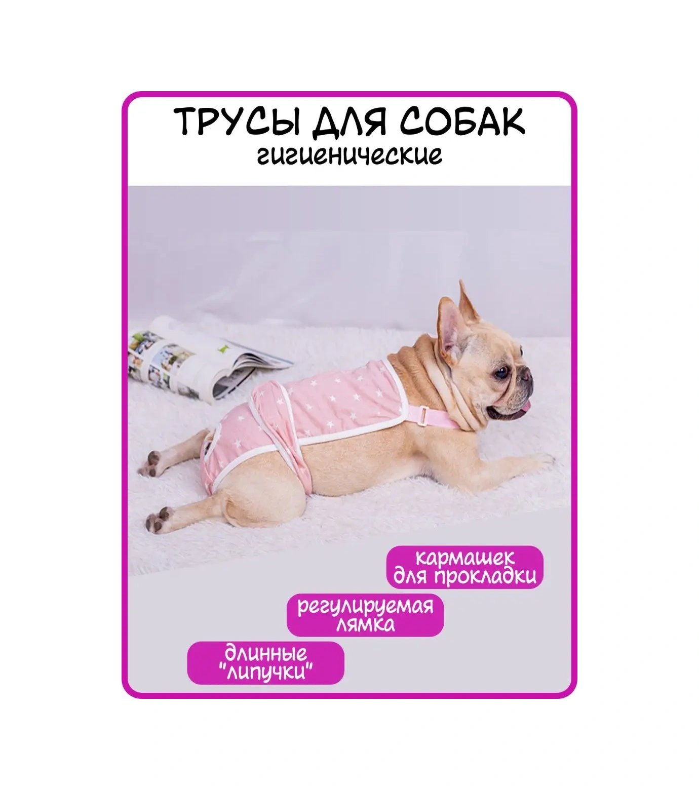 Best Golden Monkey Köpekler İçin Külot 95581082