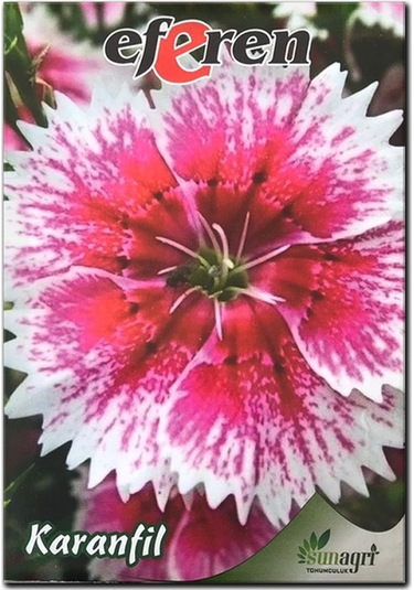 Karanfil Tohumu 6 Paket