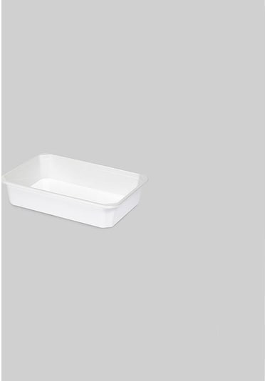 Poly Time Plastik Peynir Küveti 10.4 Lt E334