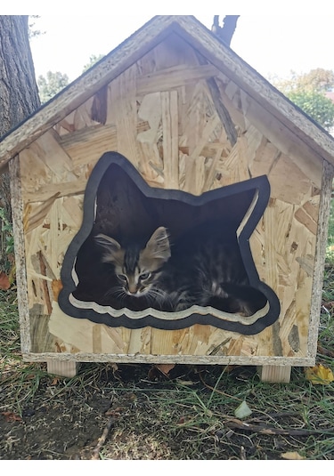 Suya Dayanıklı Kaliteli Ahşap Kedi Kulubesi