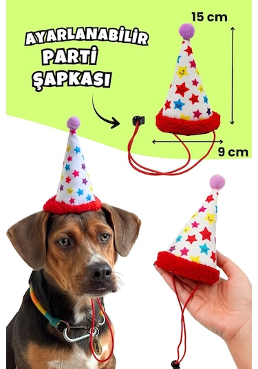 Havhav Köpek Parti Kutusu  5'li Set