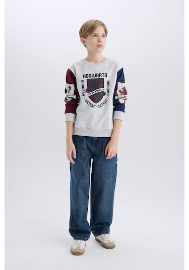 Defacto Erkek Çocuk Harry Potter Regular Fit Bisiklet Yaka Sweatshirt D4258a8nsgr400 Gri