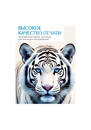 Stiker Dekor İçin Duvar İç Mekan Stickerları 451716711 Beyaz