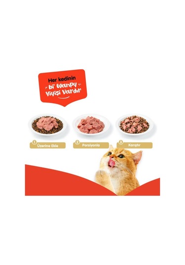 Wanpy Ton Balıklı Tahılsız Yetişkin Kedi Konservesi 375 Gr