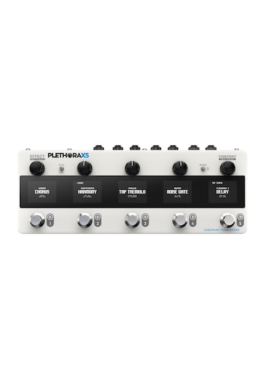 Tc Electronıc Plethora X5