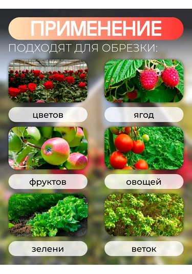 Evrogarant Çiçekler Ve Bitkiler İçin Bahçe Makası 207482257