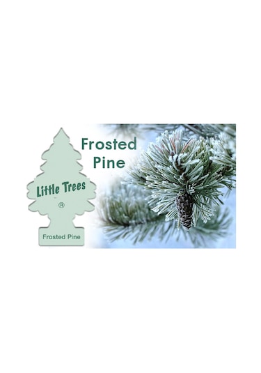 Little Trees Frosted Pine - Çam Ormanı Asmalı Oto Kokusu 6 Adet