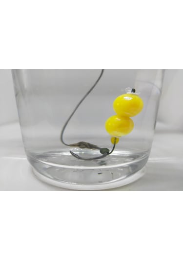 Yüzen 10 Mm Çift Janjan Boncuklu Rig Takımı 5 Li Set #1