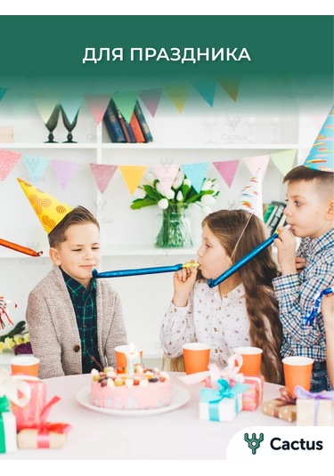 Cactus Çorba İçin Tek Kullanımlık Plastik Tabaklar 500ml 50 Adet 30123846 100 adet