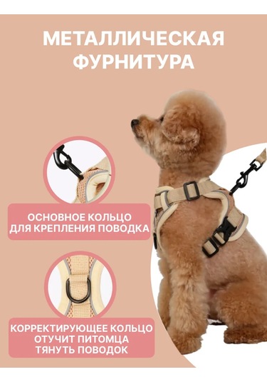 Tori Küçük Ve Orta Irklar İçin Tasmalı Köpek Kayışı Ve Kedi Şeridi 481285191