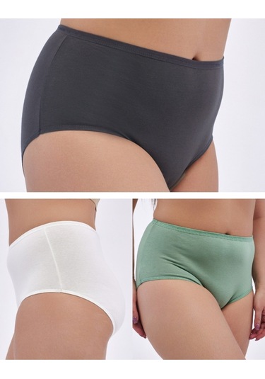 Alya Underwear Kadın Büyük Beden Külot Battal Full Brief, Yüksek Bel 5xl, 6xl, 7xl 5 Farklı Renk 1 Pakette P09