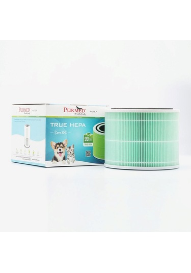 Purmed Levoit Core 300 Hepa Hava Filtresi - Yeşil Toxin-smoke