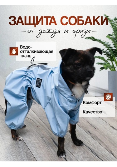 My Dream Köpekler İçin Yağmurluk Tulumu 364965843