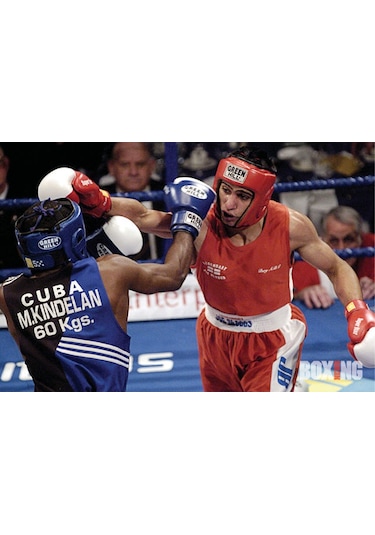 Aksaspor Green Hill Tiger Aıba Onaylı Deri Müsabaka Boks Eldiveni Mavi