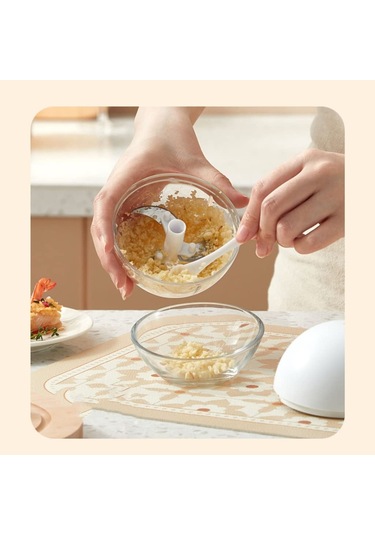 El Gıda Öğütücümanuel Sarımsak Presi Diğer