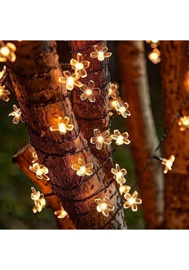 Solar 5m 50 Led Papatya Gün Işığı 8 Fonksiyonlu Siyah