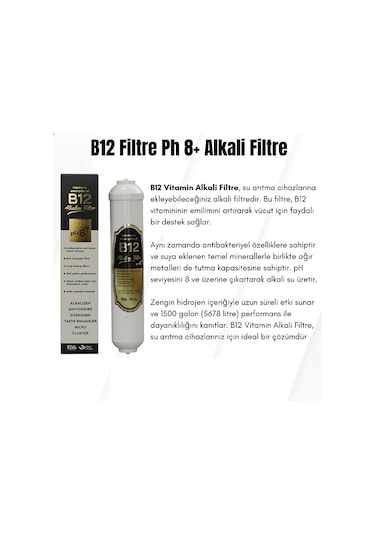 2" B12 Alkalin Filtre Su Arıtma Ph8+