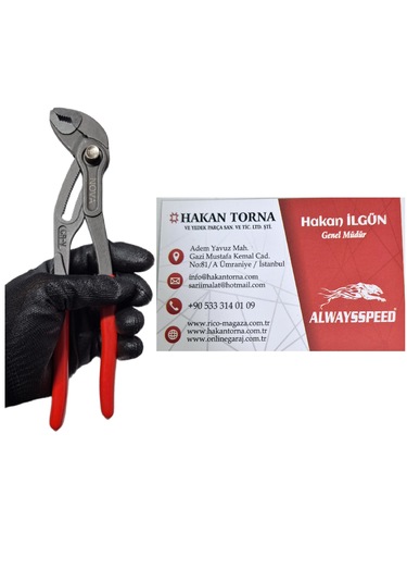 Pro 250mm Ayarlı Ford Pense Düğmeli Cr-v Papağan Pense