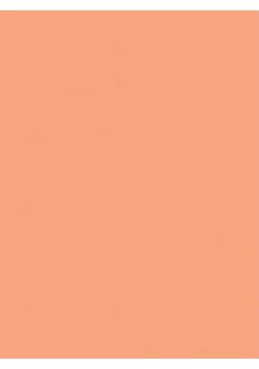 Wagner Boya Wabıesılan Silikonlu Dış Cephe Boya 2,5 Lt