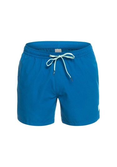 Quiksilver Everyday 15'' Erkek Yüzme Şortu 001