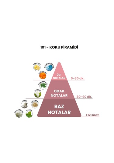 BEX 101 Erkek Parfüm EDP 50 ML