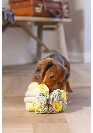 Beeztees Köpek Ödül Saklama Oyuncağı, Top, Polar, Gri/yeşil, 13cm