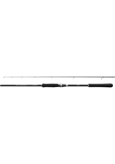 Rod Salty Advance Spinning Seabass2,90m 9'6''6-32g