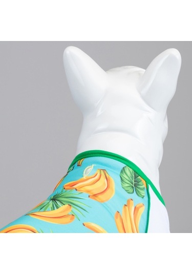 Banana Küçük, Orta Ve Büyük Irk Köpek Tshirt
