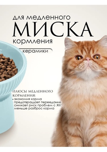 Vektorı Kedi Kabı Seramik 391812075