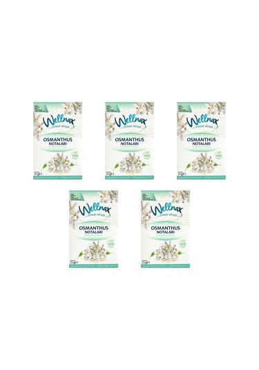 Wellnax Dolap ve Çekmece Kokusu Osmanthus Notaları Kesesi 5 x 21 G