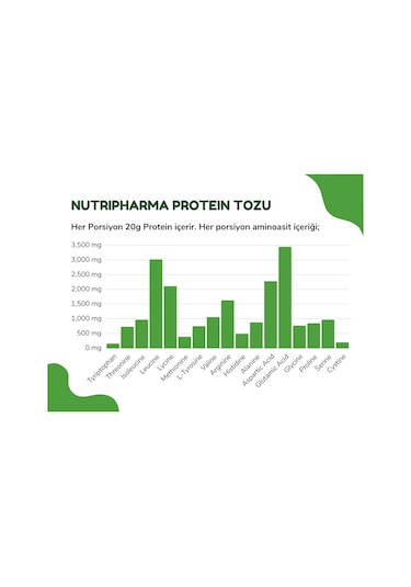 Protein Tozu 464 G 16 Servis Çikolata Aromalı