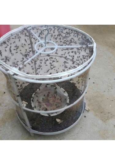 Gajeena Yüksek Verimli Yenilikçi Meyve Sinek Tutucu - Yeniden Kullanılabilir, Dayanıklı - 3 Adet - Beyaz