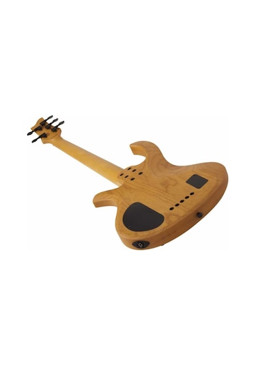 Schecter Riot-5 Session Bas Gitar (Aged Natural Satin)