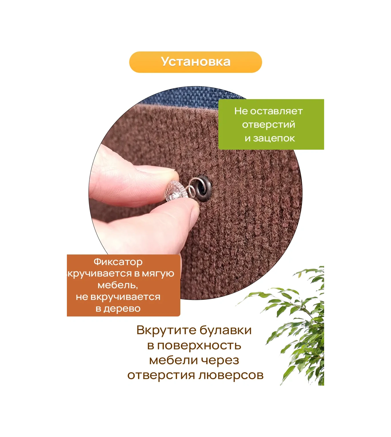 Aseliadia Kedi Kınağı - 80x50 Cm Kanepe Tipi 214462810