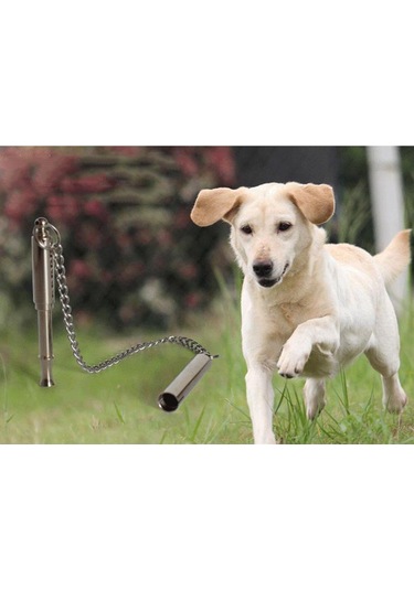 Suntek Köpek Eğitim Düdüğü Ultrasonik Paslanmaz L-8.7x0.7cm