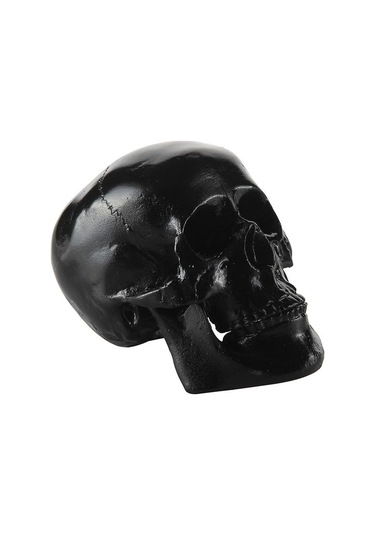 Suntek Reçine Çoğaltma Sanat İnsan Kafatası Modeli Parti