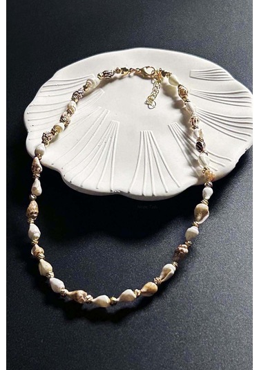 Deniz Kabuğu Kolye 425, Bej - Beyaz Çok REnkli