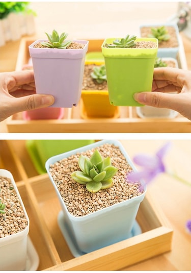 Mini Renkli Saksılar, Plastik Saksılar, Etli Bitki Saksıları Rastgele Renkler