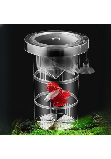 Suntek Yetiştirme Kutusu Odası Tutucu Tankı Bebek 17x12cm