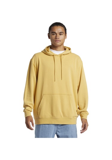 Quiksilver Salt Water Hoodie Erkek Sweatshirt Renkli