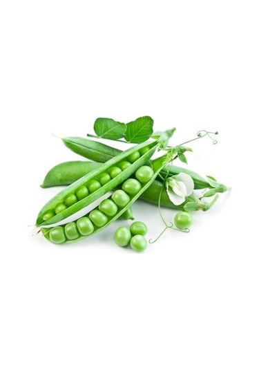 Bt Rondo Utrillo Bezelye Tohumu 500 GR