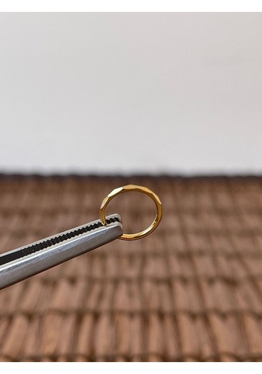 316 L Cerrahi Çelik Anti Alerjik Kesme Baklava 10 Mm X 1.2mm Altın Kilitli Halka Piercing Gümüş