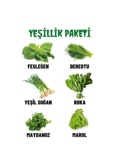 Fesleğen, Dereotu, Soğan, Roka, Maydanoz, Marul 60 GR