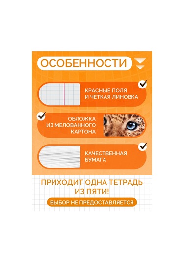 Calligrata Kurbağalar Not Defter 48 Yaprak 453831949