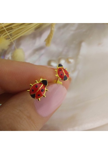 925 Ayar Gümüş Kırmızı Uğur Böceği Küpe Gold