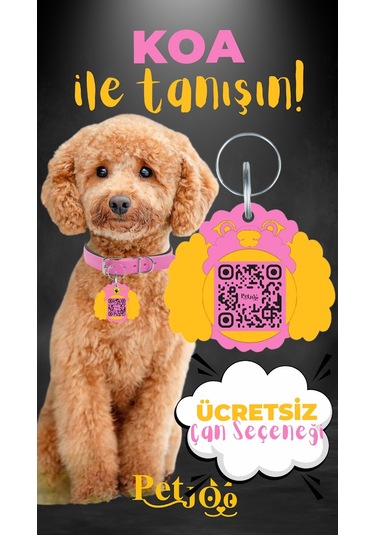 Petjoo 14.Koa Sarı-Pembe Qr'lı Köpek Künyesi