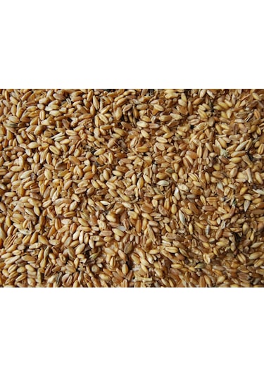 Akderepet Esmer Buğday Yemi 1 KG