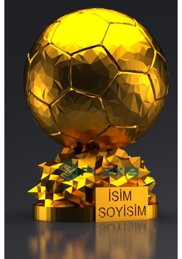 İsminize Özel Fıfa Ballon D'or Maketi Gold Kaplama 20 Cm Boy Dekor Hediyelik